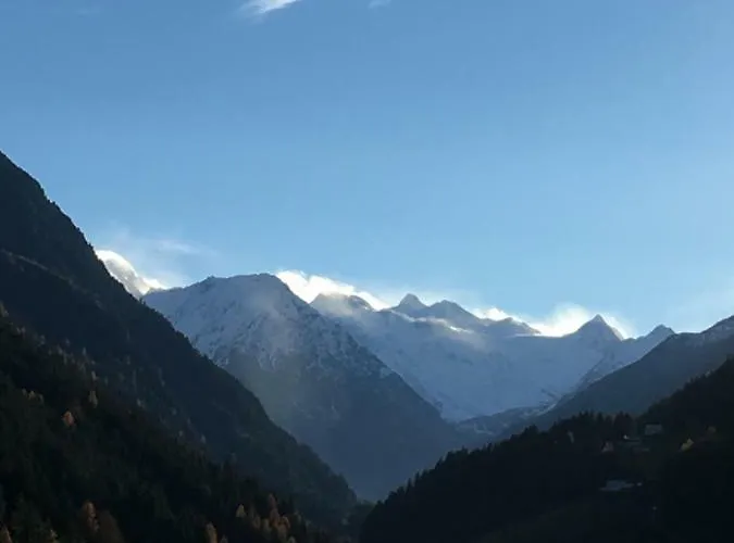 Gletscherstern Нойштифт-им-Штубайталь