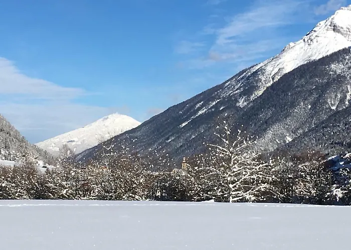 Gletscherstern * Neustift im Stubaital